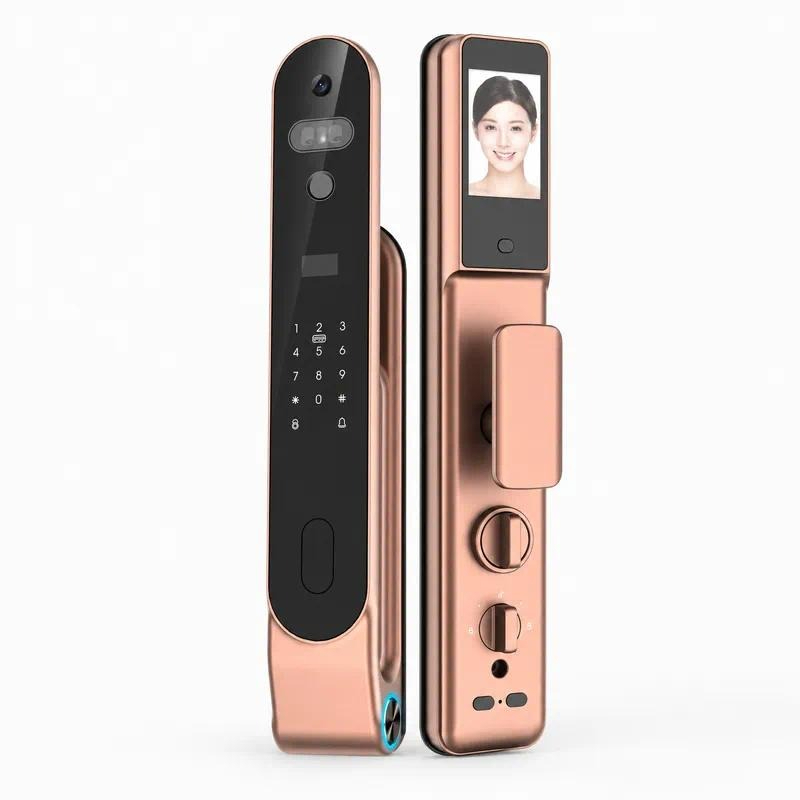 High quality 3D Face Lock Pass - Smart Door Lock Wifi 评论和价格