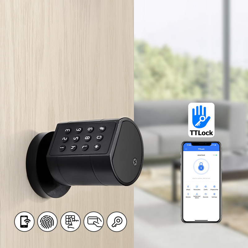 Smart Euro Cylindrical Door Lo - Smart Door Lock Wifi 评论和价格