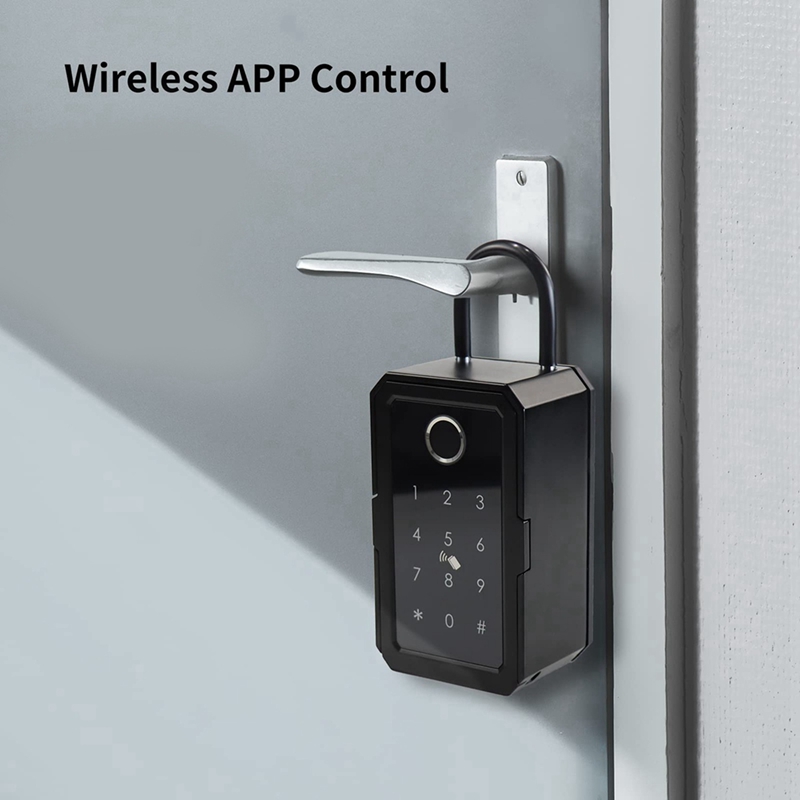 【Hot Cake】10X Smart Key Lock B - Smart Door Lock Wifi 评论和价格